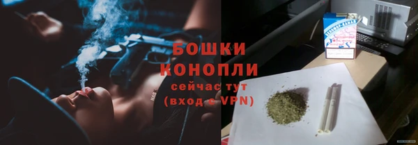 крисы Белоозёрский