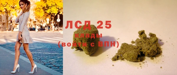 гашик Дмитровск