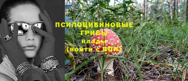 метамфетамин Белокуриха